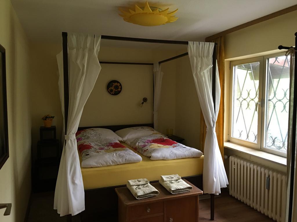Large Wuerzburg Apartment Bagian luar foto